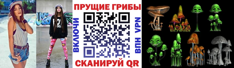 Галлюциногенные грибы прущие грибы магазин продажи МЕГА маркетплейс Мурино