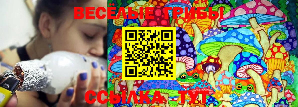 Галлюциногенные грибы мухоморы  Вход с VPN  Мурино 