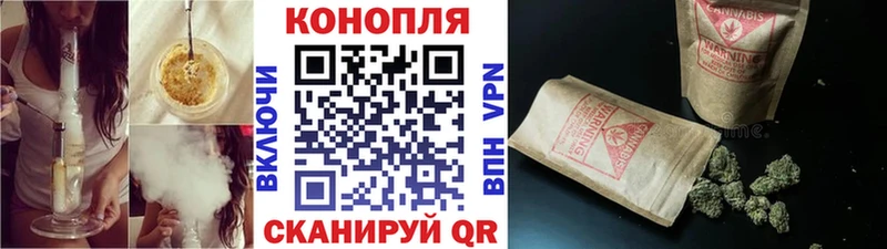 Марихуана план цена Мурино